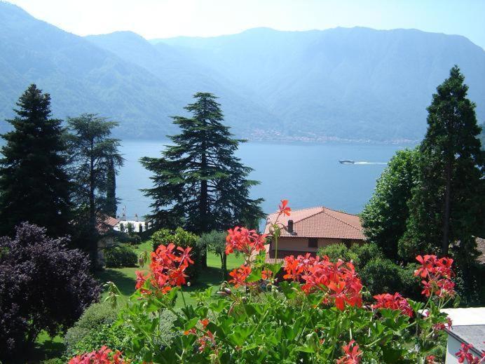 Hotel Lario Mezzegra Екстер'єр фото